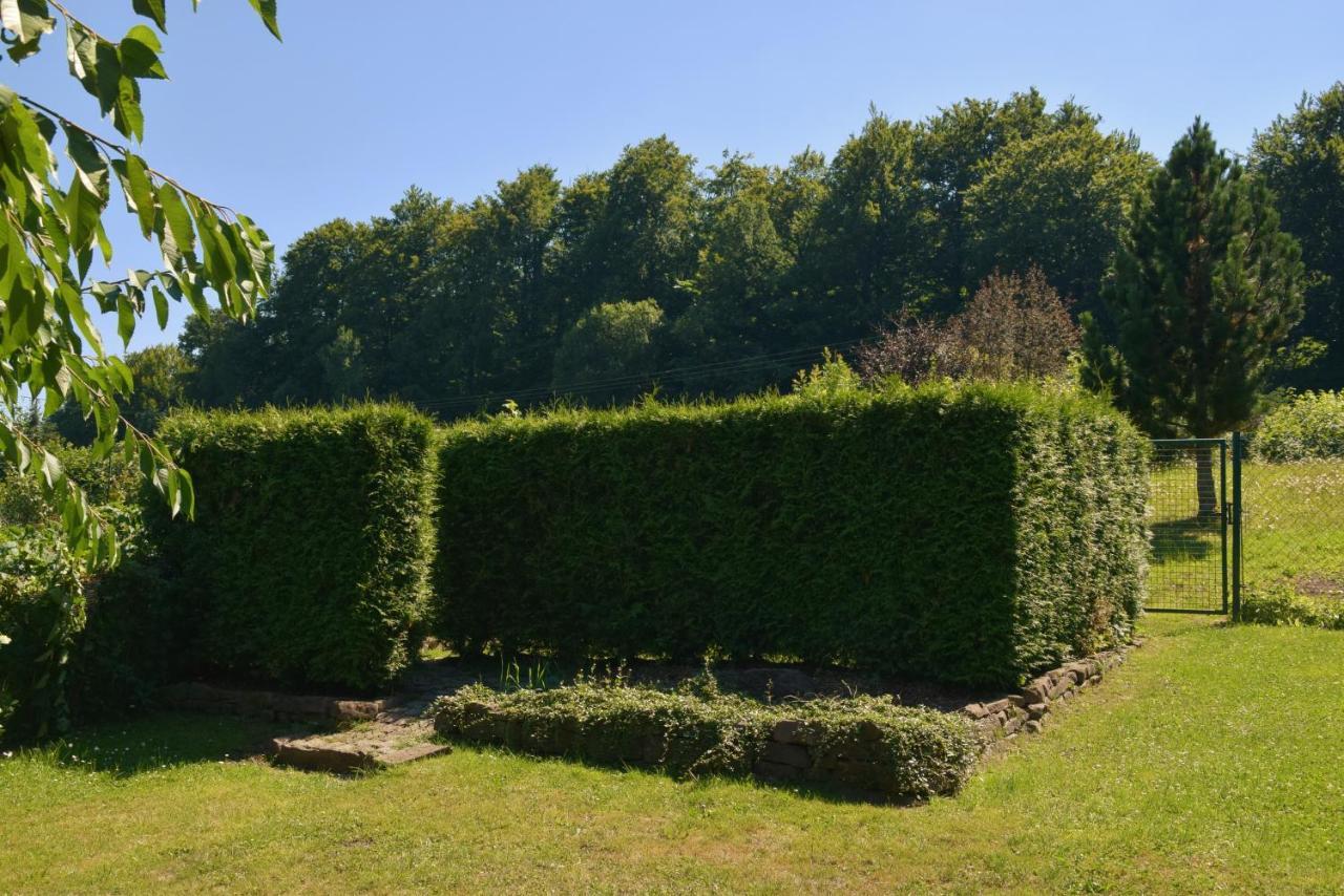 Superior - Ferienhaus Am Engelsbach Im Thueringer Wald Esterno foto